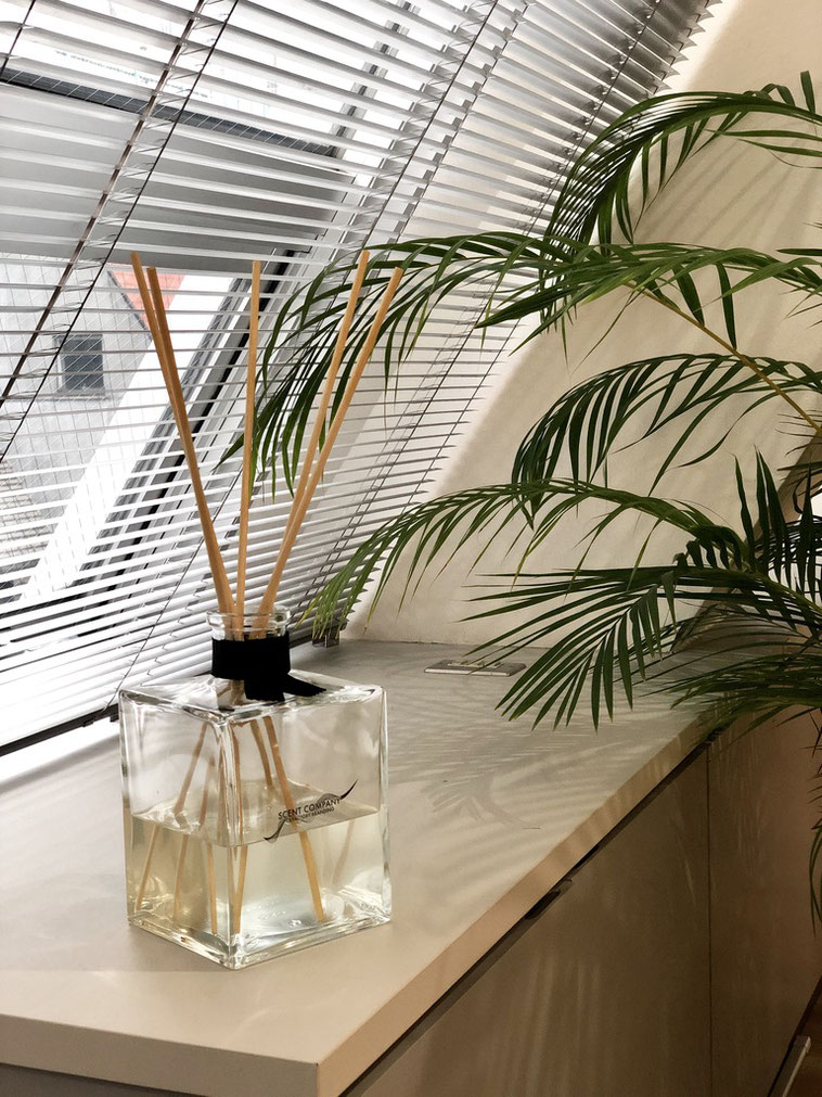 窓際に置かれたディフューザーの横にはヤシの葉の観葉植物が見えます
